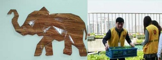 卡鉑連鎖洗衣加盟，挑對品牌讓你成為時代的佼佼者