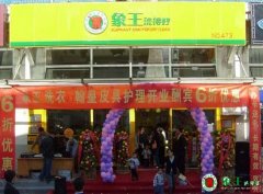上海品牌洗衣店的年利潤是多少